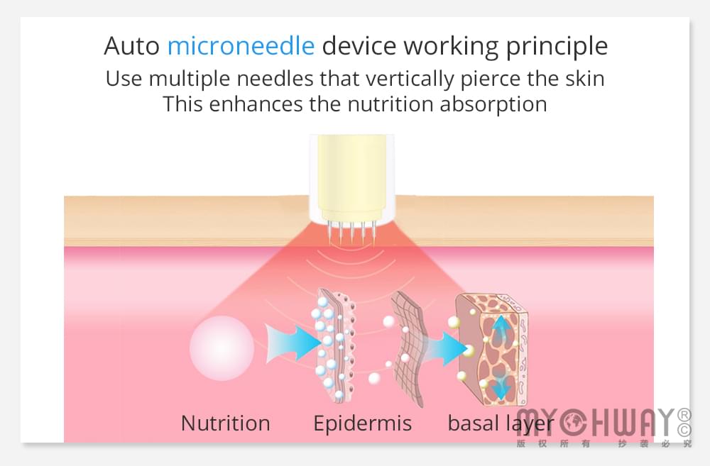 micro needle derma roller skin rejuvenator